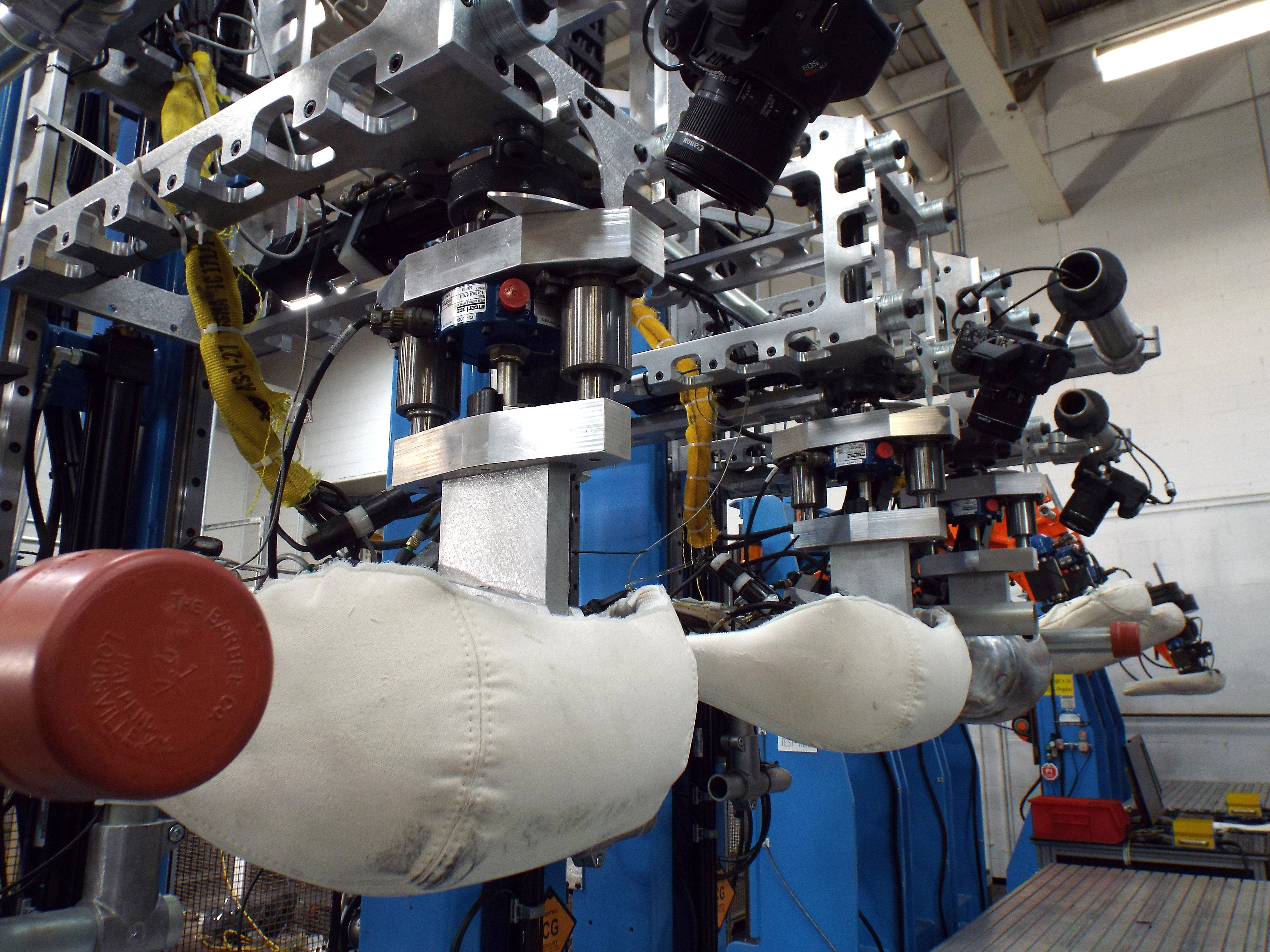 Mustang Mach-E Robotic Butt